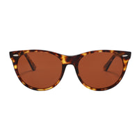 Men Sunglasses fashion